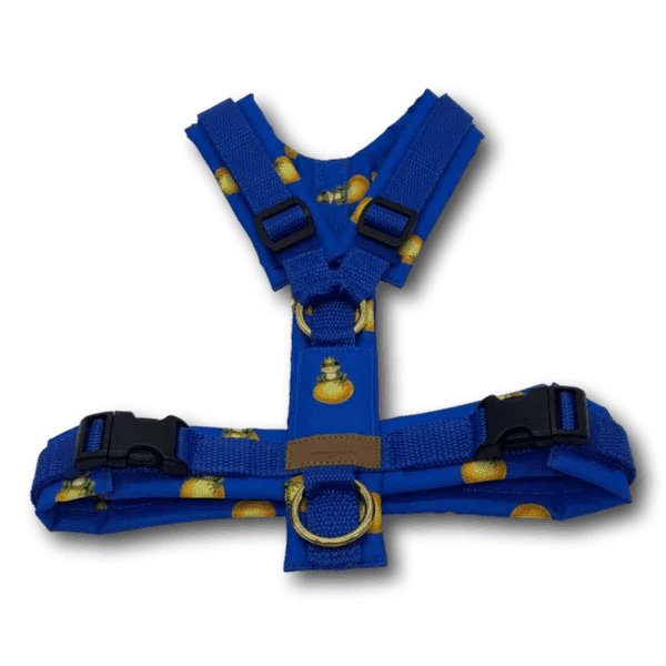 Y-Geschirr BT EasyWalk® Froschkönig blau Gr. S - Beagletuff