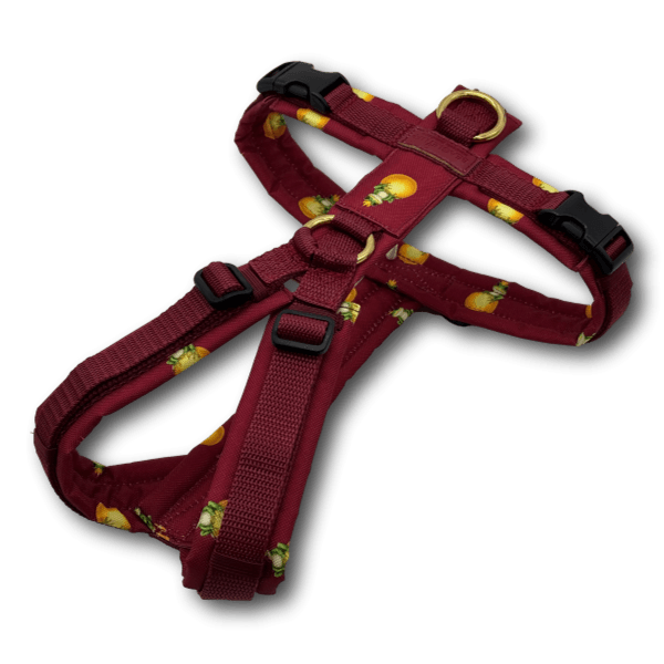 Y-Geschirr BT EasyWalk® Edition Froschkönig bordeaux - Beagletuff