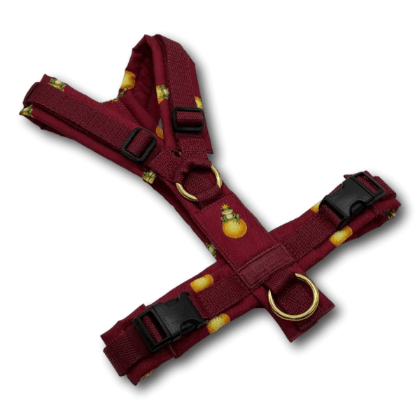 Y-Geschirr BT EasyWalk® Edition Froschkönig bordeaux - Beagletuff