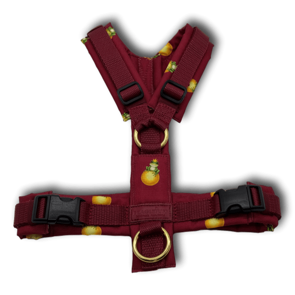 Y-Geschirr BT EasyWalk® Edition Froschkönig bordeaux - Beagletuff