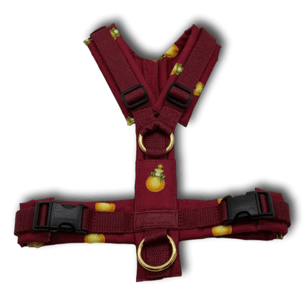 Y-Geschirr BT EasyWalk® Edition Froschkönig bordeaux - Beagletuff