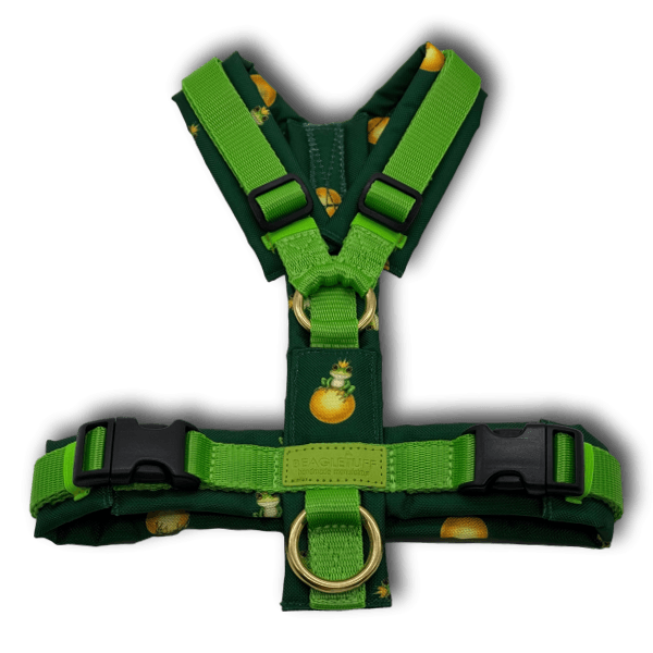 Y-Geschirr BT EasyWalk® Edition Froschkönig grün - Beagletuff