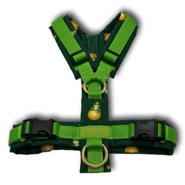 Y-Geschirr BT EasyWalk® Edition Froschkönig grün - Beagletuff