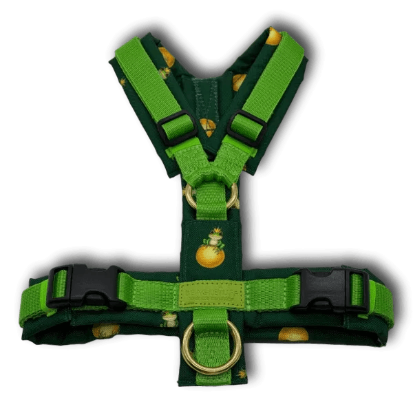 Y-Geschirr BT EasyWalk® Edition Froschkönig grün - Beagletuff