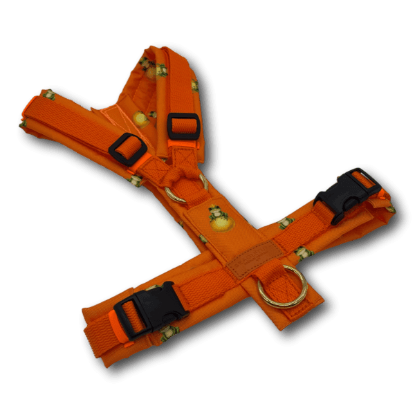 Y-Geschirr BT EasyWalk® Froschkönig orange Gr. S - Beagletuff