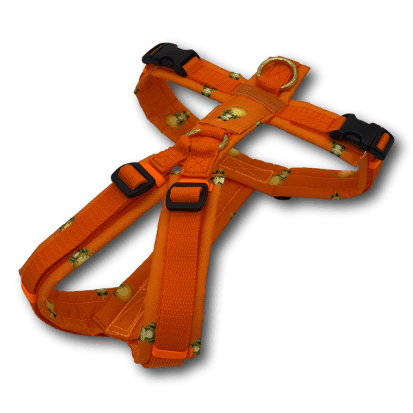 Y-Geschirr BT EasyWalk® Froschkönig orange Gr. S - Beagletuff