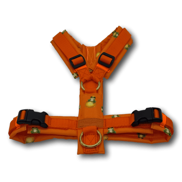 Y-Geschirr BT EasyWalk® Froschkönig orange Gr. S - Beagletuff