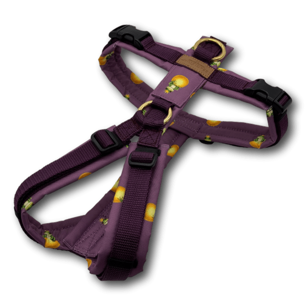 Y-Geschirr BT EasyWalk® Edition Froschkönig pflaume - Beagletuff