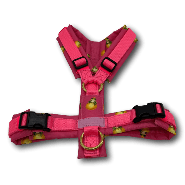 Y-Geschirr BT EasyWalk® Edition Froschkönig pink - Beagletuff