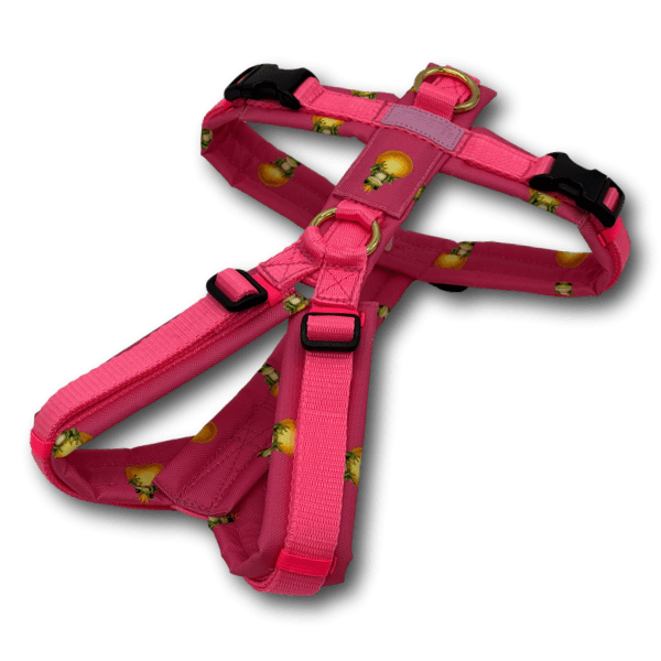 Y-Geschirr BT EasyWalk® Edition Froschkönig pink - Beagletuff