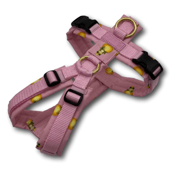 Y-Geschirr BT EasyWalk® Edition Froschkönig rosa dunkel - Beagletuff
