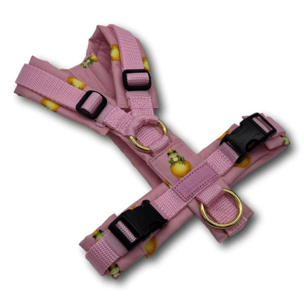 Y-Geschirr BT EasyWalk® Edition Froschkönig rosa dunkel - Beagletuff