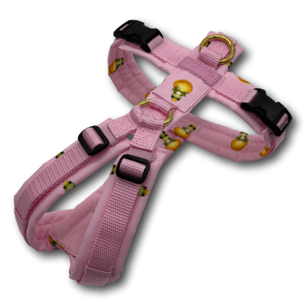 Y-Geschirr BT EasyWalk® Edition Froschkönig rosa hell - Beagletuff