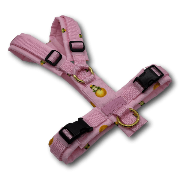 Y-Geschirr BT EasyWalk® Edition Froschkönig rosa hell - Beagletuff
