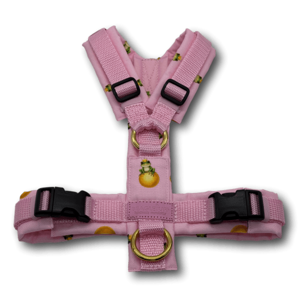 Y-Geschirr BT EasyWalk® Edition Froschkönig rosa hell - Beagletuff