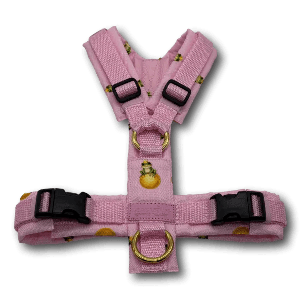 Y-Geschirr BT EasyWalk® Edition Froschkönig rosa hell - Beagletuff