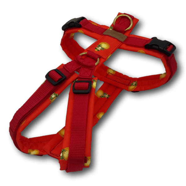 Y-Geschirr BT EasyWalk® Froschkönig rot Gr. S - Beagletuff