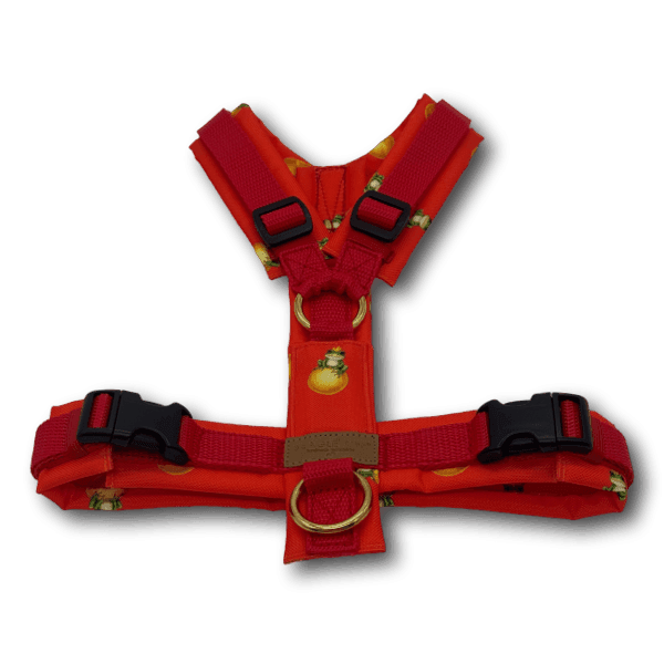 Y-Geschirr BT EasyWalk® Froschkönig rot Gr. S - Beagletuff