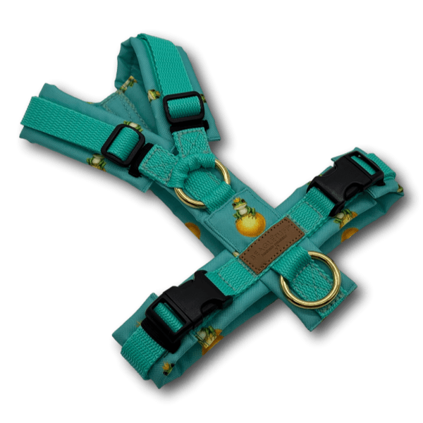 Y-Geschirr BT EasyWalk® Edition Froschkönig türkis minze - Beagletuff