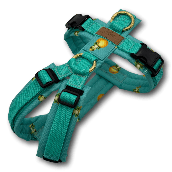 Y-Geschirr BT EasyWalk® Edition Froschkönig türkis minze - Beagletuff