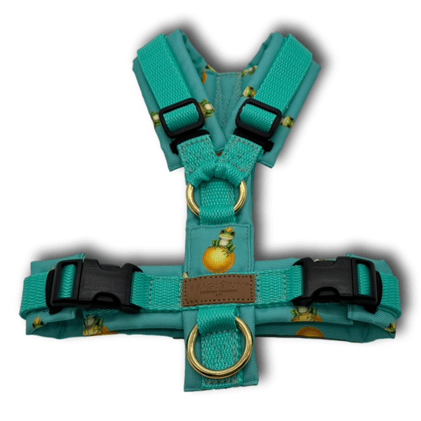 Y-Geschirr BT EasyWalk® Edition Froschkönig türkis minze - Beagletuff