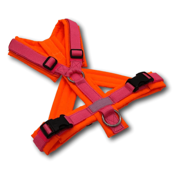 Y-Geschirr BT EasyWalk® Neon Edition orange/pink - Beagletuff