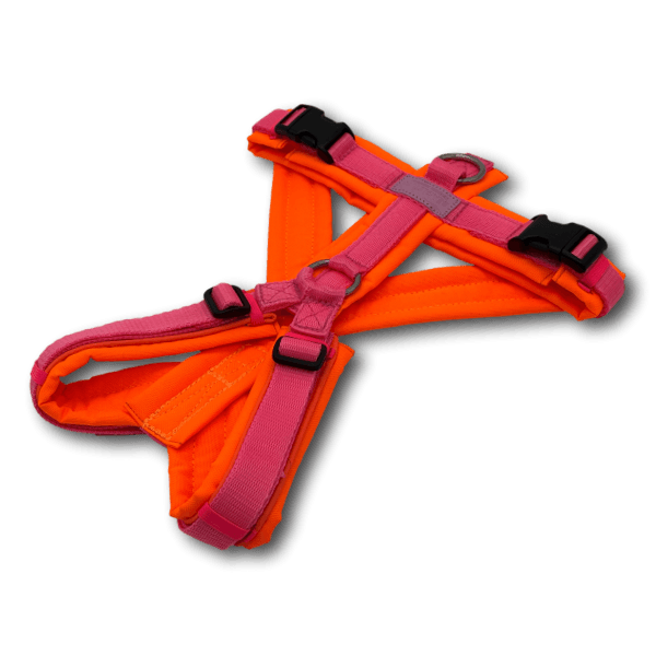Y-Geschirr BT EasyWalk® Neon Edition orange/pink - Beagletuff