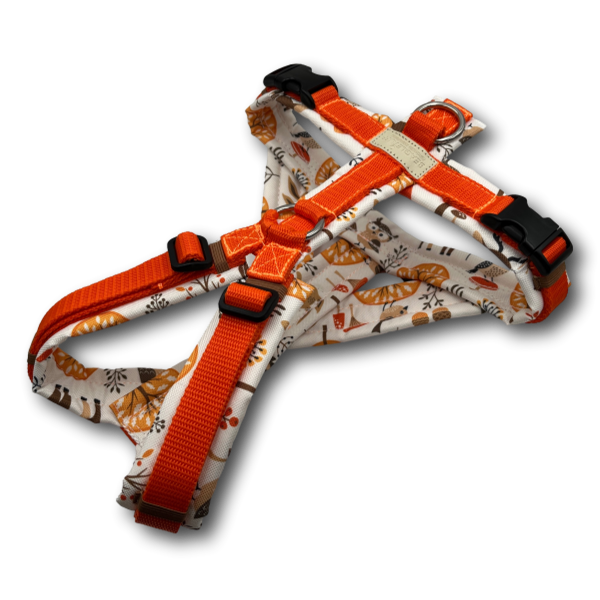 BT EasyWalk® GB – geteilter Bruststeg