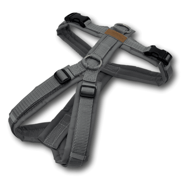 Y-Geschirr BT EasyWalk® grau/grau Gr. S - Beagletuff