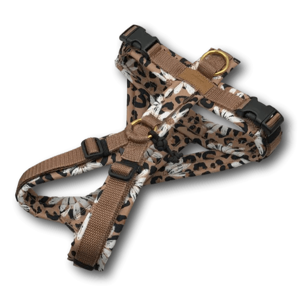 Y-Geschirr für Hunde mit braunem Gurtband und floral-leopardigem Muster in Beige- und Braunnuancen, verstellbar mit schwarzen Schnallen und