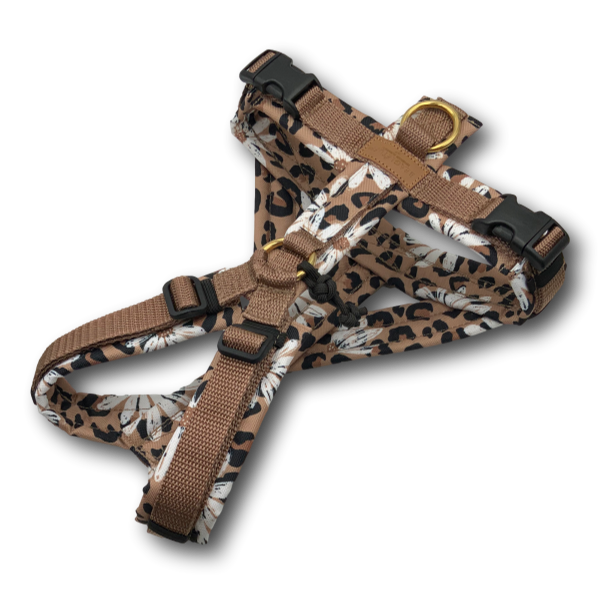 Y-Geschirr BT EasyWalk® GB Gr. S LeoBlume Sofortkauf