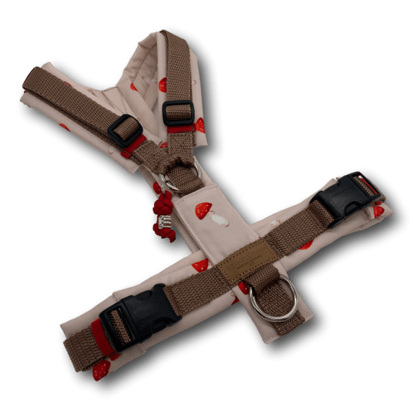 BT EasyWalk® Geschirr – Edition Herbst Fliegenpilz - Beagletuff