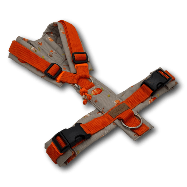 Y-Geschirr BT EasyWalk® orange Herbst grau Gr. M Sofortkauf - Beagletuff