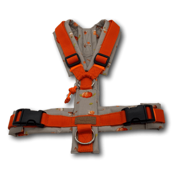 Y-Geschirr BT EasyWalk® orange Herbst grau Gr. M Sofortkauf - Beagletuff