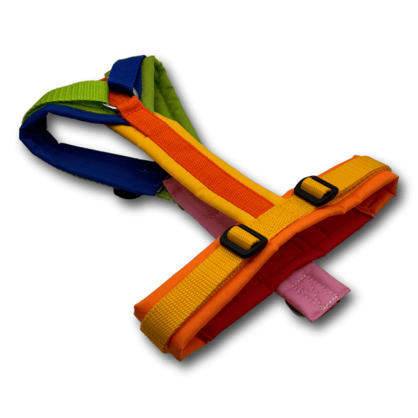 Y-Geschirr BT EasyWalk® Edition Julia bunt - Beagletuff