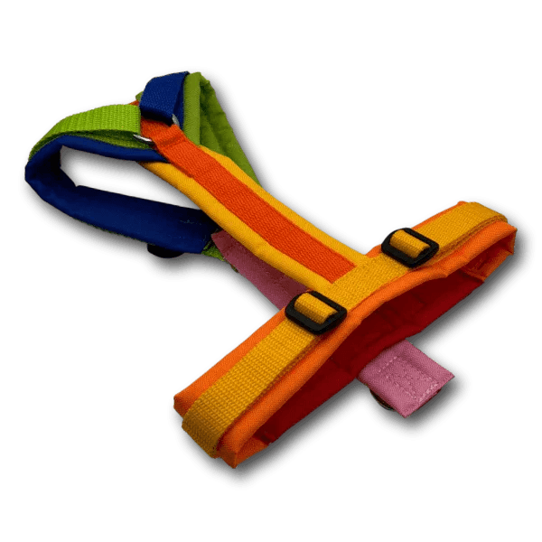 Y-Geschirr BT EasyWalk® Edition Julia bunt - Beagletuff