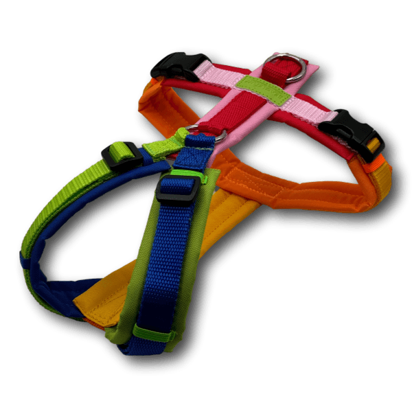Y-Geschirr BT EasyWalk® Edition Julia bunt - Beagletuff