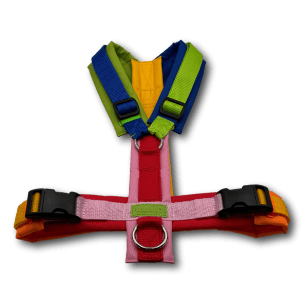 Y-Geschirr BT EasyWalk® Edition Julia bunt - Beagletuff