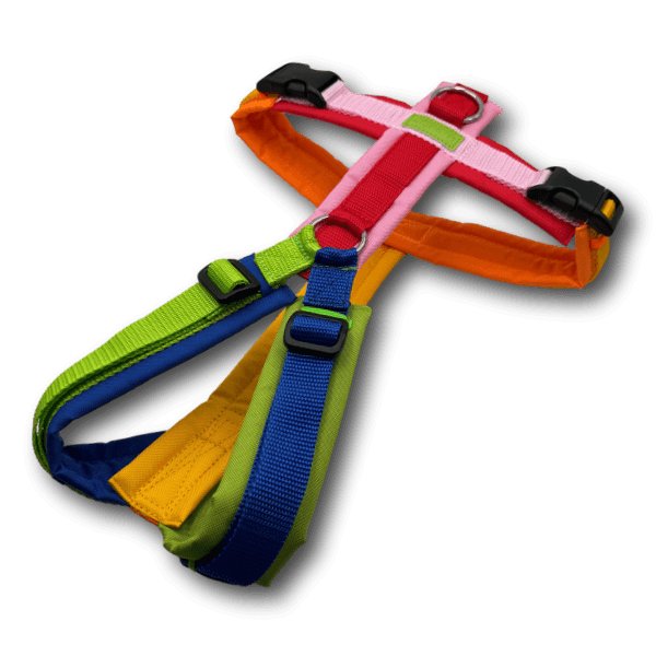 Y-Geschirr BT EasyWalk® Edition Julia bunt - Beagletuff