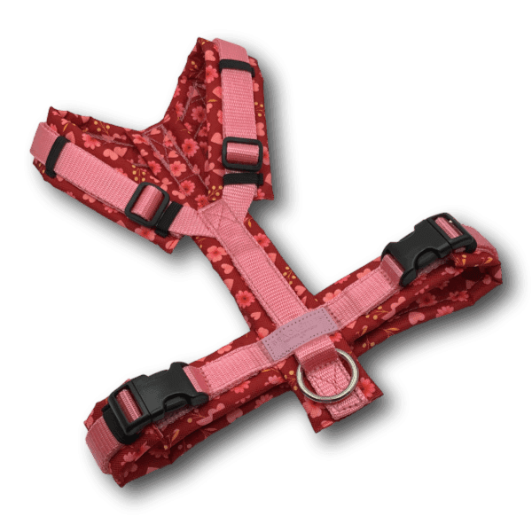 Y-Geschirr BT EasyWalk® Bloomina - Beagletuff