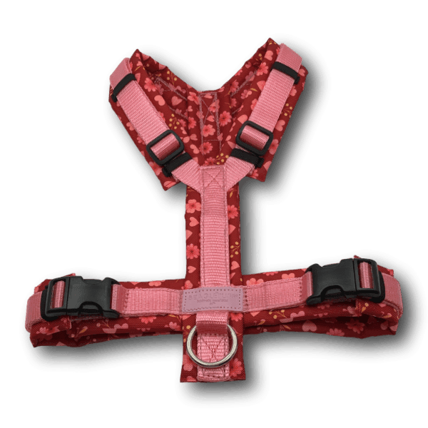 Y-Geschirr BT EasyWalk® Bloomina - Beagletuff