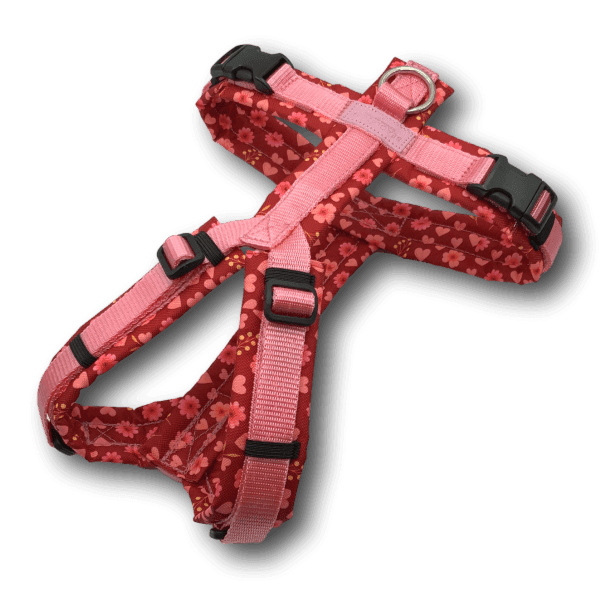 Y-Geschirr BT EasyWalk® Bloomina - Beagletuff