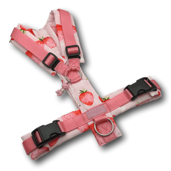 Y-Geschirr BT EasyWalk® Erdbeerella - Beagletuff