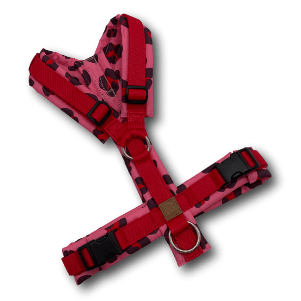 Y-Geschirr BT EasyWalk® Pink Panther Leo