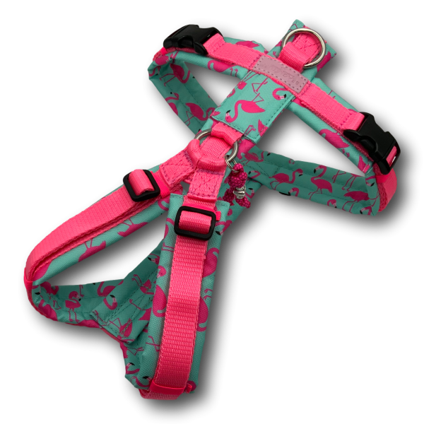 Y-harness BT EasyWalk® Edition Froschkönig light pink