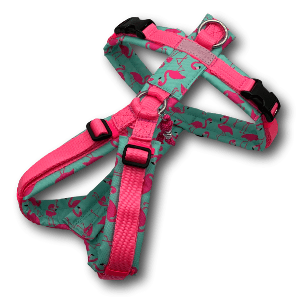 Y-Geschirr BT EasyWalk® Flamingo Dream Gr. S - Beagletuff