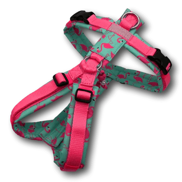 Y-Geschirr BT EasyWalk® Flamingo Dream Gr. S - Beagletuff