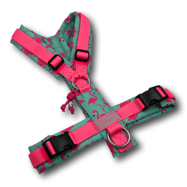 Y-Geschirr BT EasyWalk® Flamingo Dream Gr. S - Beagletuff
