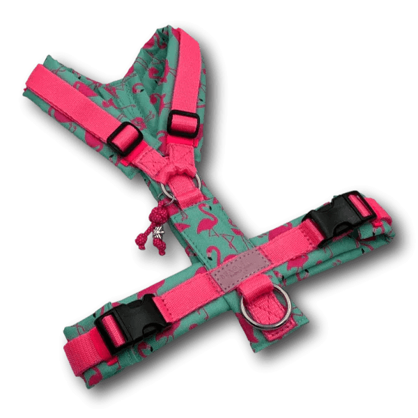 Y-Geschirr BT EasyWalk® Flamingo Dream Gr. S - Beagletuff