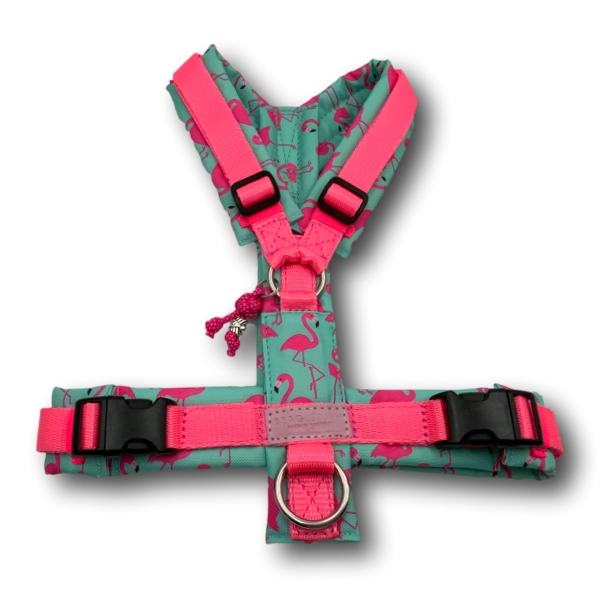 Y-harness BT EasyWalk® Edition Froschkönig light pink